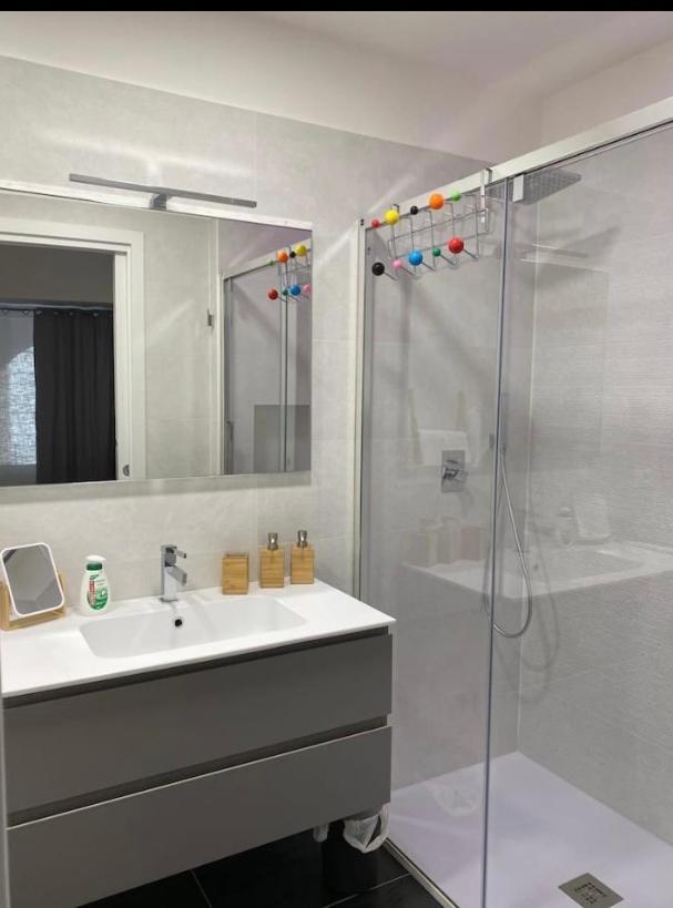 Calandra Studio Turin